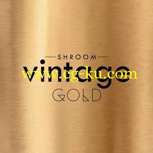 Shroom Vintage Gold WAV的图片1