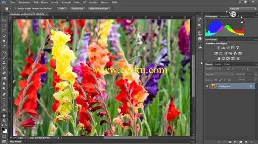 Adobe Photoshop CC – Die Grundlagen的图片1