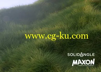 Solid Angle Cinema4D to Arnold 2.3.1 for Cinema4D R17-R19 Win/ MacOsx的图片1