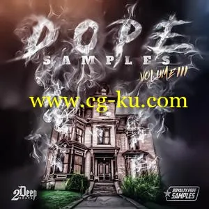 2DEEP Dope Samples Vol 3 WAV的图片1