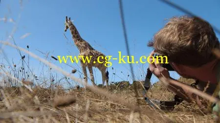 Wildlife Photography: Nature Preserve的图片1