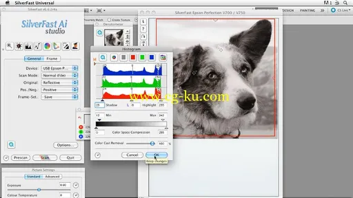 Scanning Techniques for Photography Art and Design的图片1