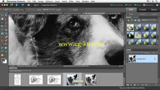 Scanning Techniques for Business and Home的图片1