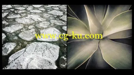 Learning Photo Compositing的图片1