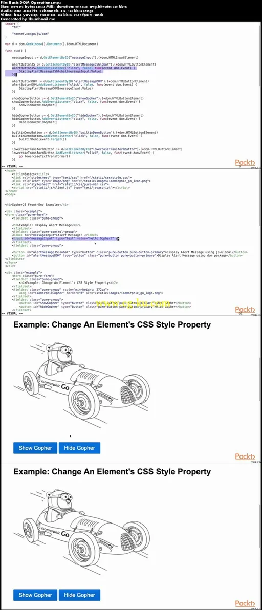 Front-End Web Development using Go的图片1