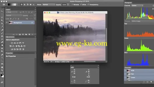 Photoshop: Customization的图片1