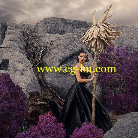 PHLEARN – Photo Editing 201+301 PRO的图片1