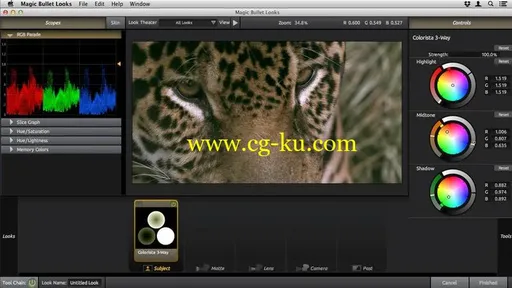 Learning Magic Bullet Suite的图片1
