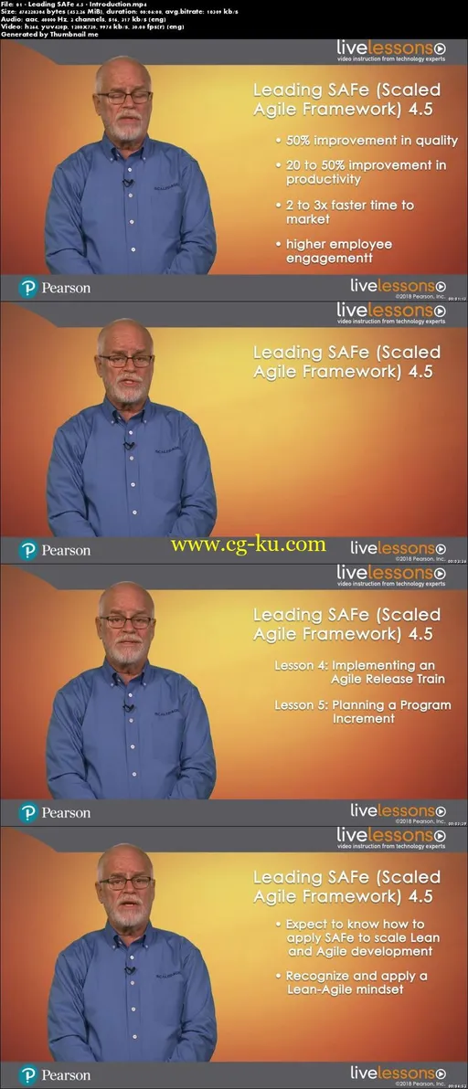 Leading SAFe (Scaled Agile Framework) 4.5: Leading the Lean Enterprise with the Scaled Agile Framework的图片2
