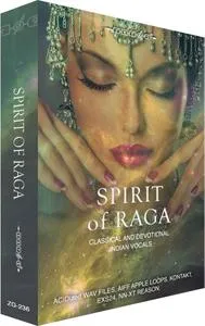 Zero-G Spirit Of Raga MULTiFORMAT的图片1
