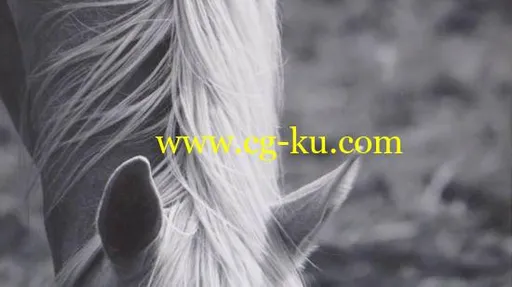 Inkjet Printing: Advanced Photography Techniques的图片2