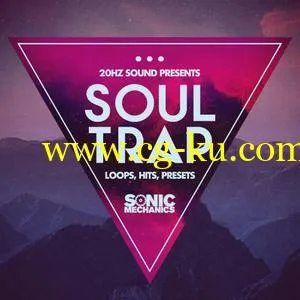 Sonic Mechanics 20Hz Sound Soul Trap MULTiFORMAT的图片1