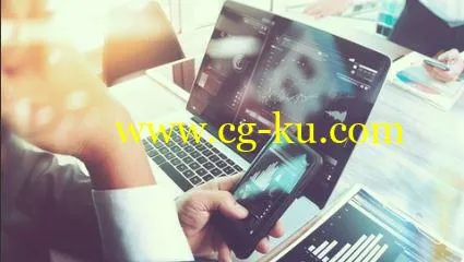 Beginner to Pro – Financial Analysis in Excel的图片1