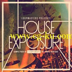 Loopmasters House Exposure MiDi REASON REFiLL的图片1