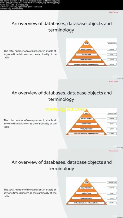 Lets welcome Ace – The Access Database Designer的图片2