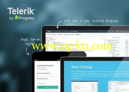 Telerik Ultimate Collection for .NET 2017 R3 SP1的图片1