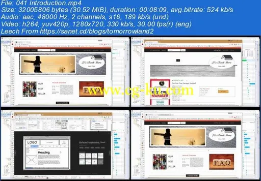Angular 2 Complete E-Commerce App Course – Java, Spring, MySQL的图片3