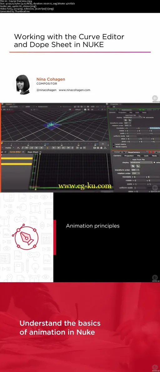Working with the Curve Editor and Dope Sheet in NUKE的图片2