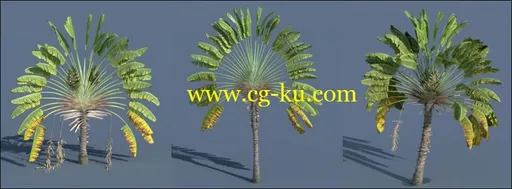 E-On Plant Factory Producer 2016 R6 Win的图片1