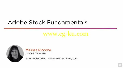 Adobe Stock Fundamentals的图片1