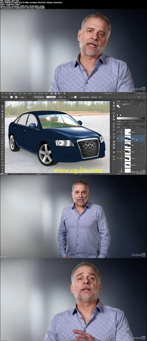 Illustrator CC 2015 One-on-One: Mastery的图片2