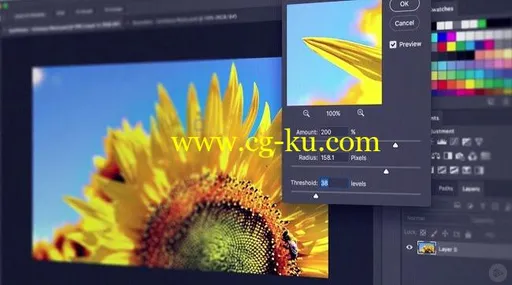 Photoshop CC Working with Filters 2017的图片1