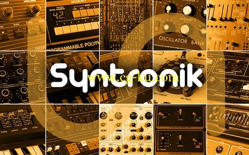 IK Multimedia Syntronik v1.1.0 WiN / OSX的图片1