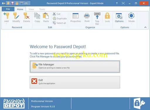 Password Depot 10.5.3.0 Multilingual的图片1