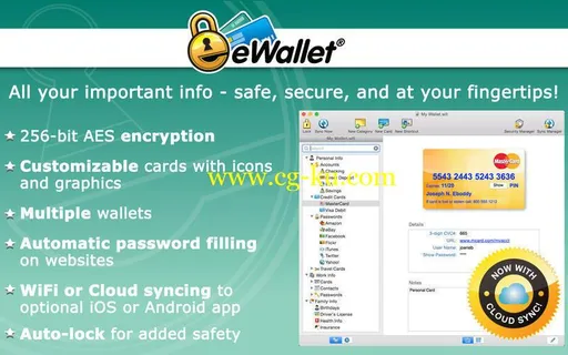 iliumsoft eWallet 8.3.7 Build 35625 MacOSX的图片1