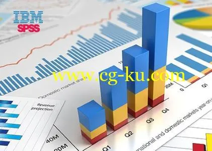 IBM SPSS Statistics 24.0 HF002 IF006的图片1