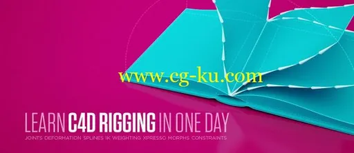 Helloluxx – Learn Cinema 4D Rigging In One Day的图片1