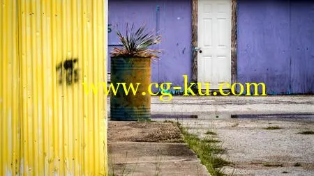 Photography: Advanced Composition的图片1