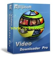 Bigasoft Video Downloader Pro v1.2.28.4878的图片1