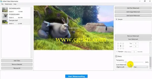 Uconomix uMark Video Watermarker Pro 1.1的图片1