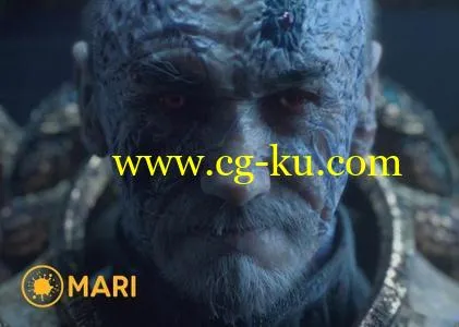 The Foundry Mari 4.0v1 Win/Lnx的图片1