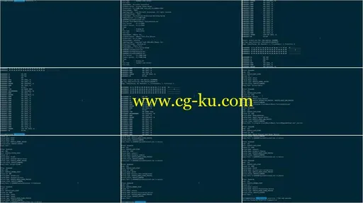 Forensic Analysis of Computer Memory的图片1