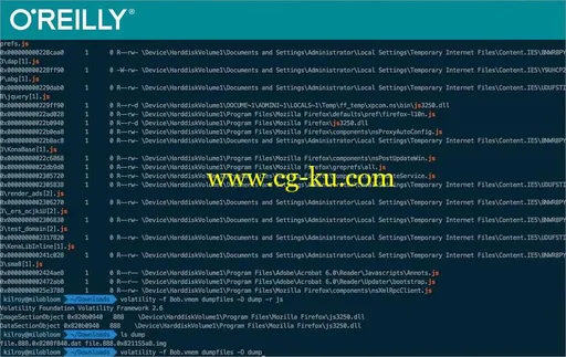 Forensic Analysis of Computer Memory的图片2