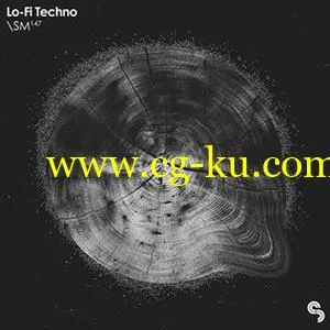 Sample Magic Lo-Fi Techno MULTiFORMAT的图片1