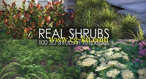 Vizpark – Real Shrubs for 3ds max only的图片1