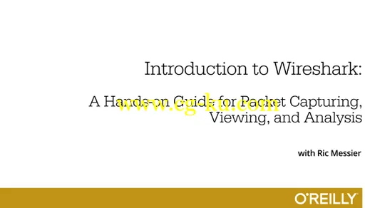 Introduction to Wireshark的图片1