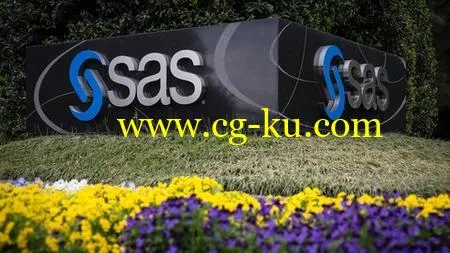 Complete & Practical SAS, Statistics & Data Analysis Course的图片1