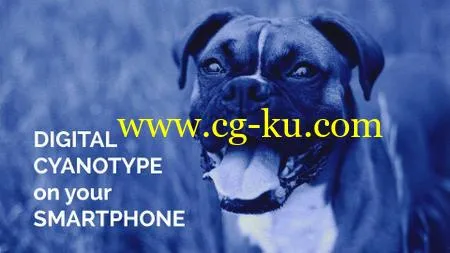 Digital Cyanotype on your Smartphone的图片2