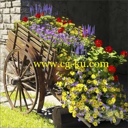 Summer Flower的图片1