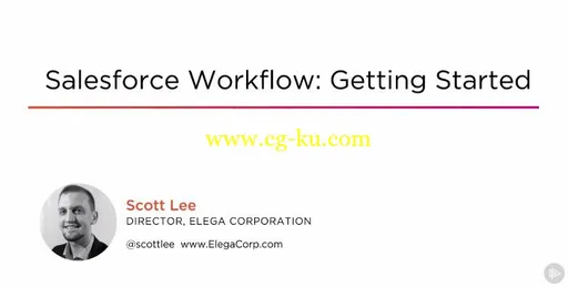 Salesforce Workflow: Getting Started的图片2