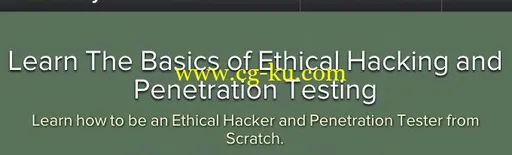 Learn The Basics of Ethical Hacking and Penetration Testing的图片1