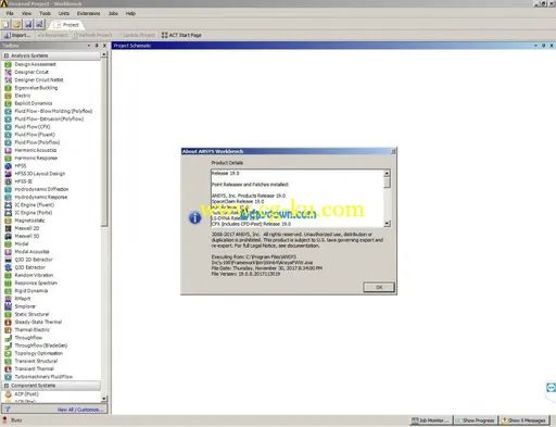 ANSYS Products 19.0 Win64的图片13
