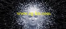 Machine Learning A-Z™: Hands-On Python & R In Data Science (Updated 1/2018)的图片2