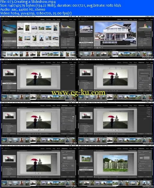 Adobe Lightroom 5 Learn By Video – Peachpit Press的图片2
