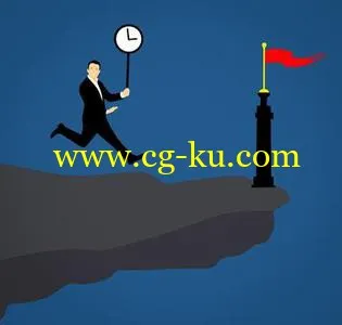 PMI Risk Management Professional的图片1