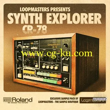 Loopmasters Synth Explorer CR-78 MULTiFORMAT的图片1